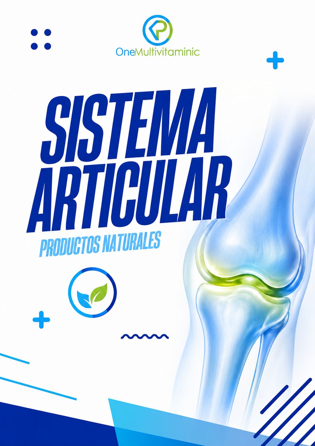 SISTEMA ARTICULAR