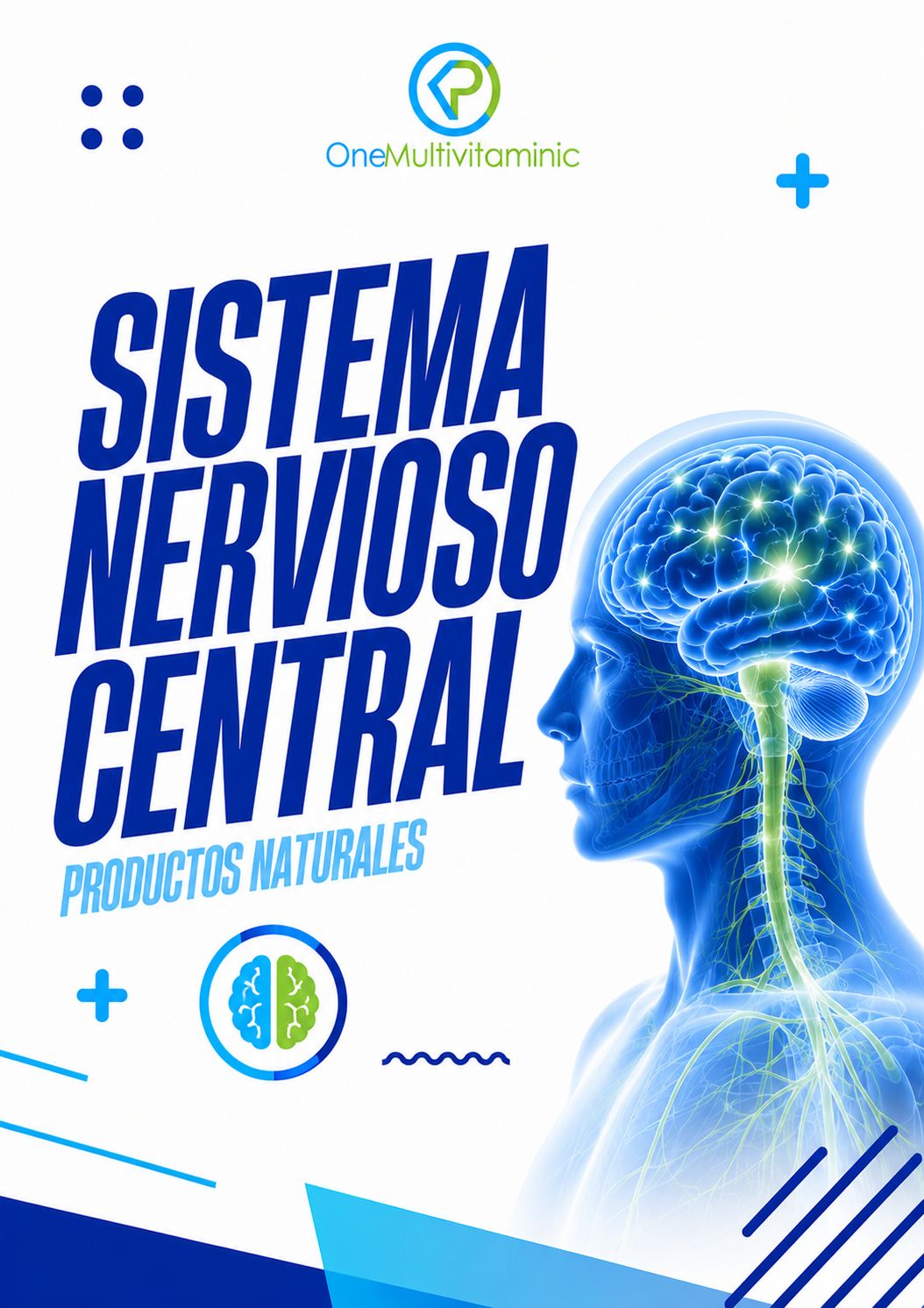 SISTEMA NERVIOSO CENTRAL