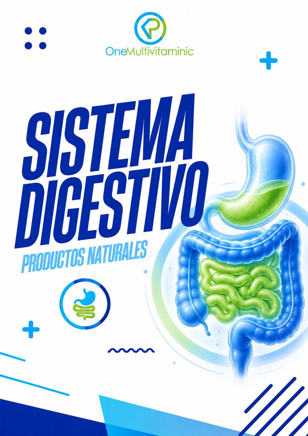 SISTEMA DIGESTIVO