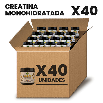 Creatina Monohidratada Por Mayor pack X40